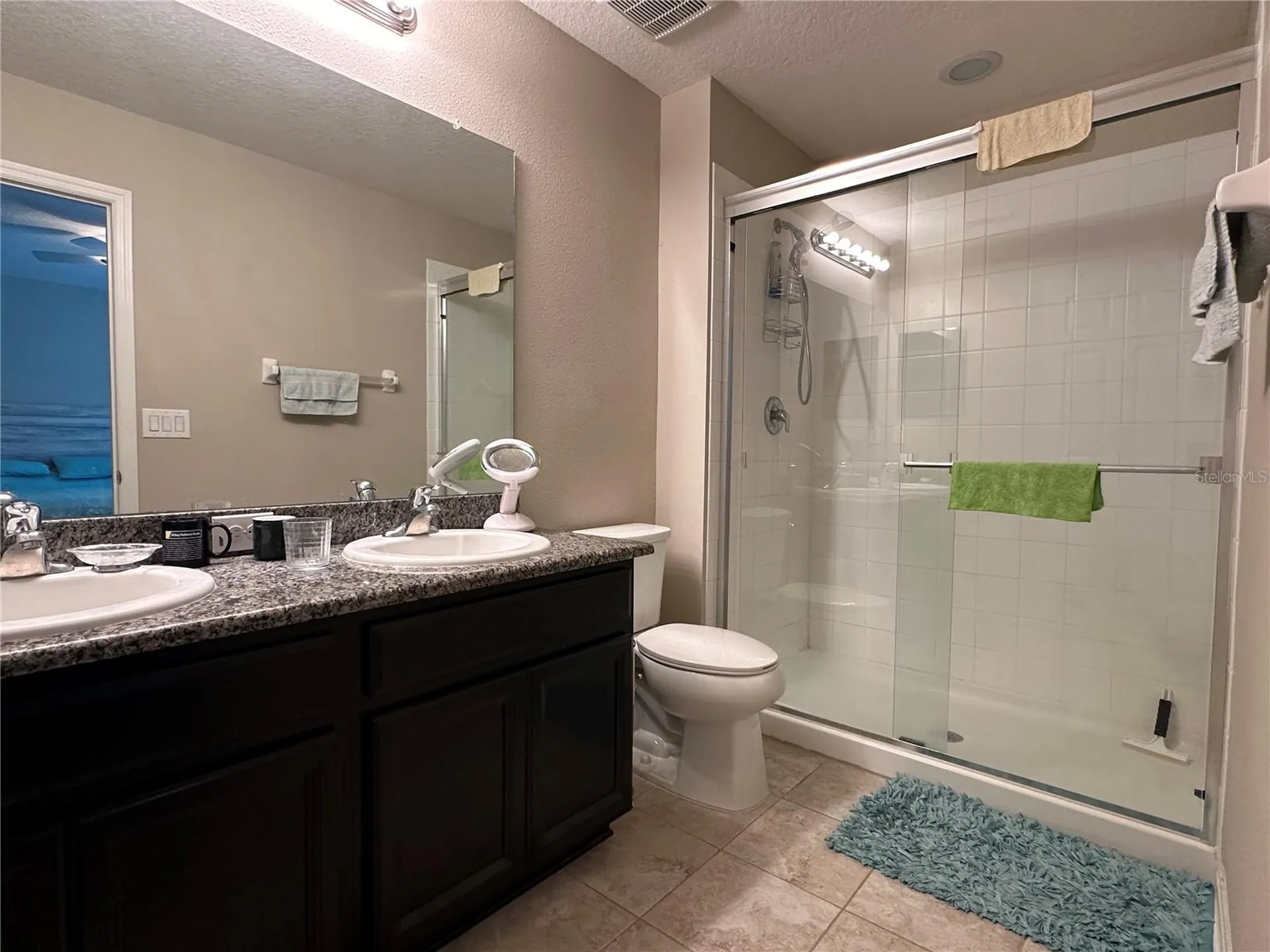 7089 Woodchase Glen Drive Riverview FL 33578