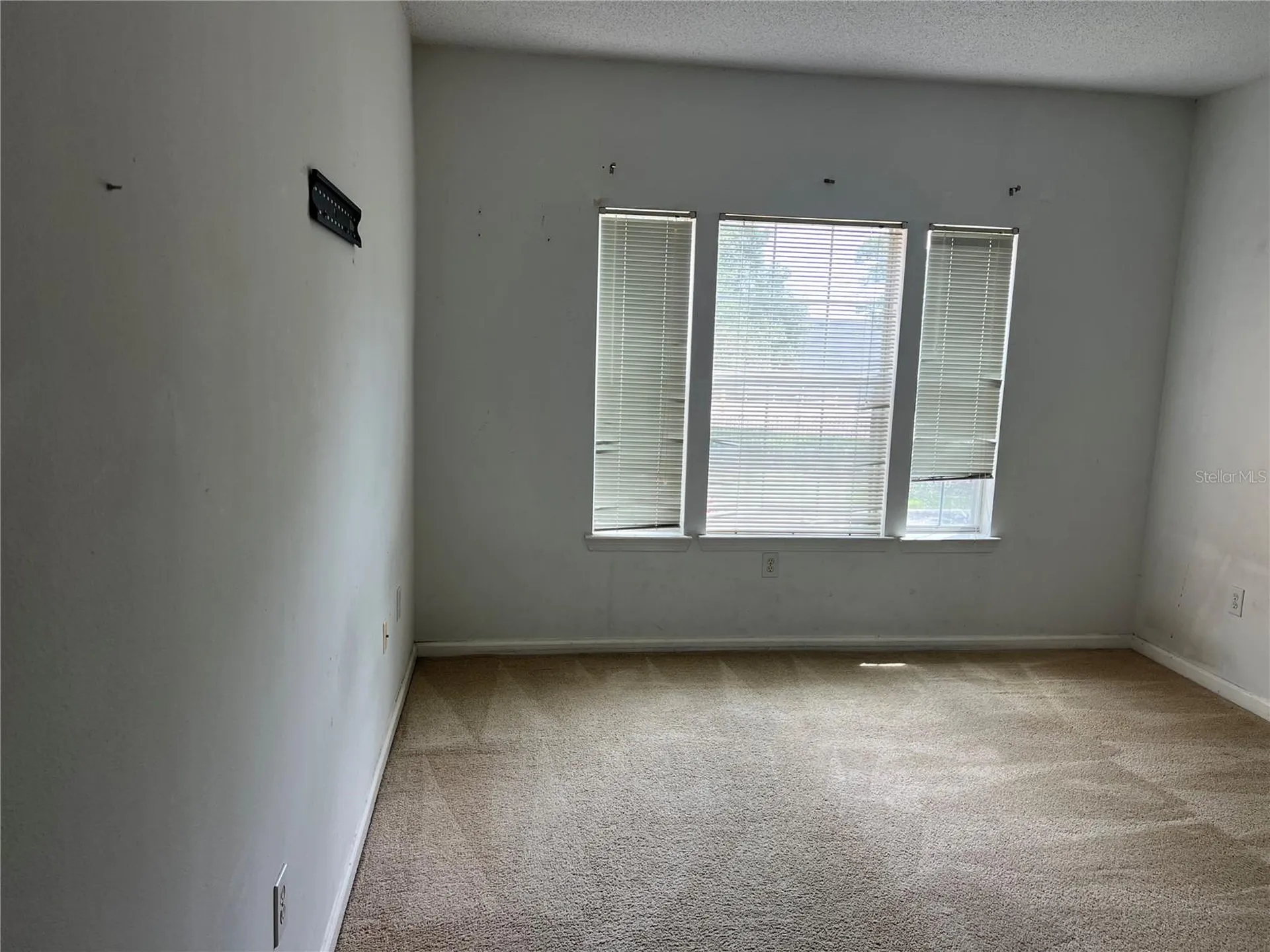 12414 Baleria Cove Orlando FL 32837