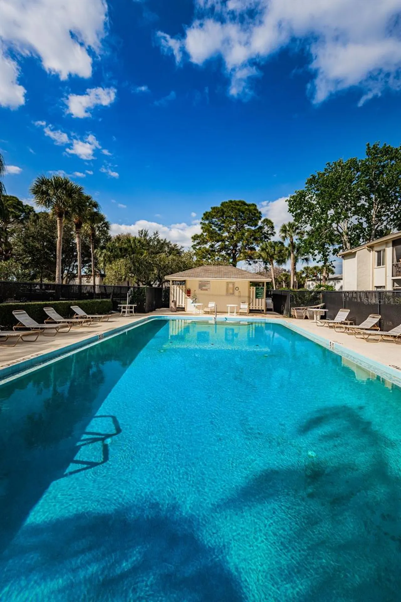 110 Cypress Court Oldsmar FL 34677