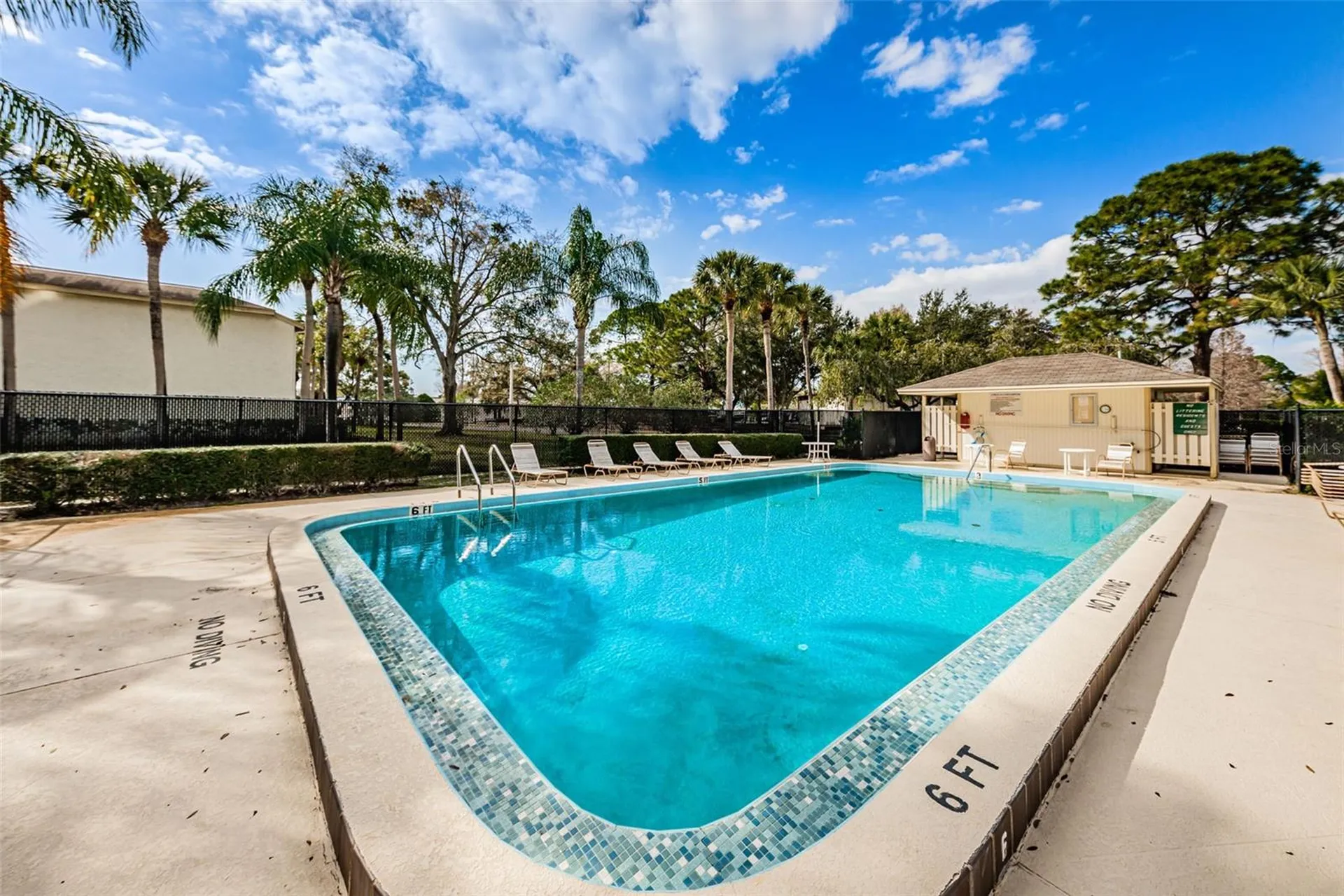 110 Cypress Court Oldsmar FL 34677