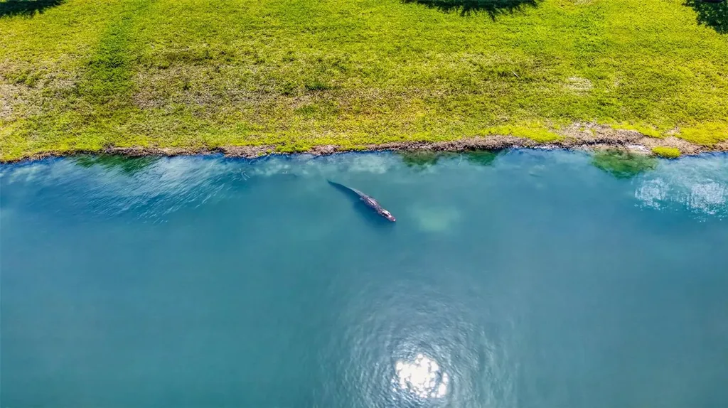 25000 Halliana Lane Punta Gorda FL 33955