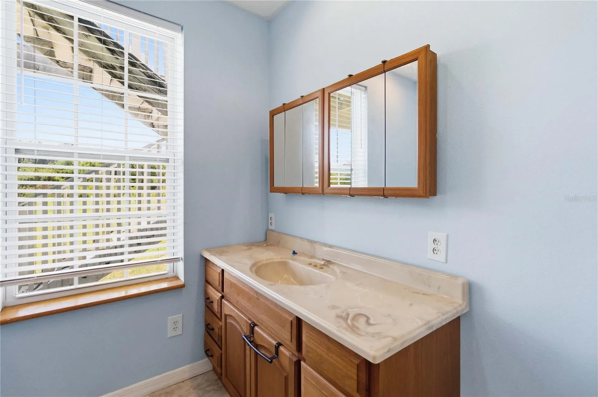 31243 Bear Pond Drive Sorrento FL 32776