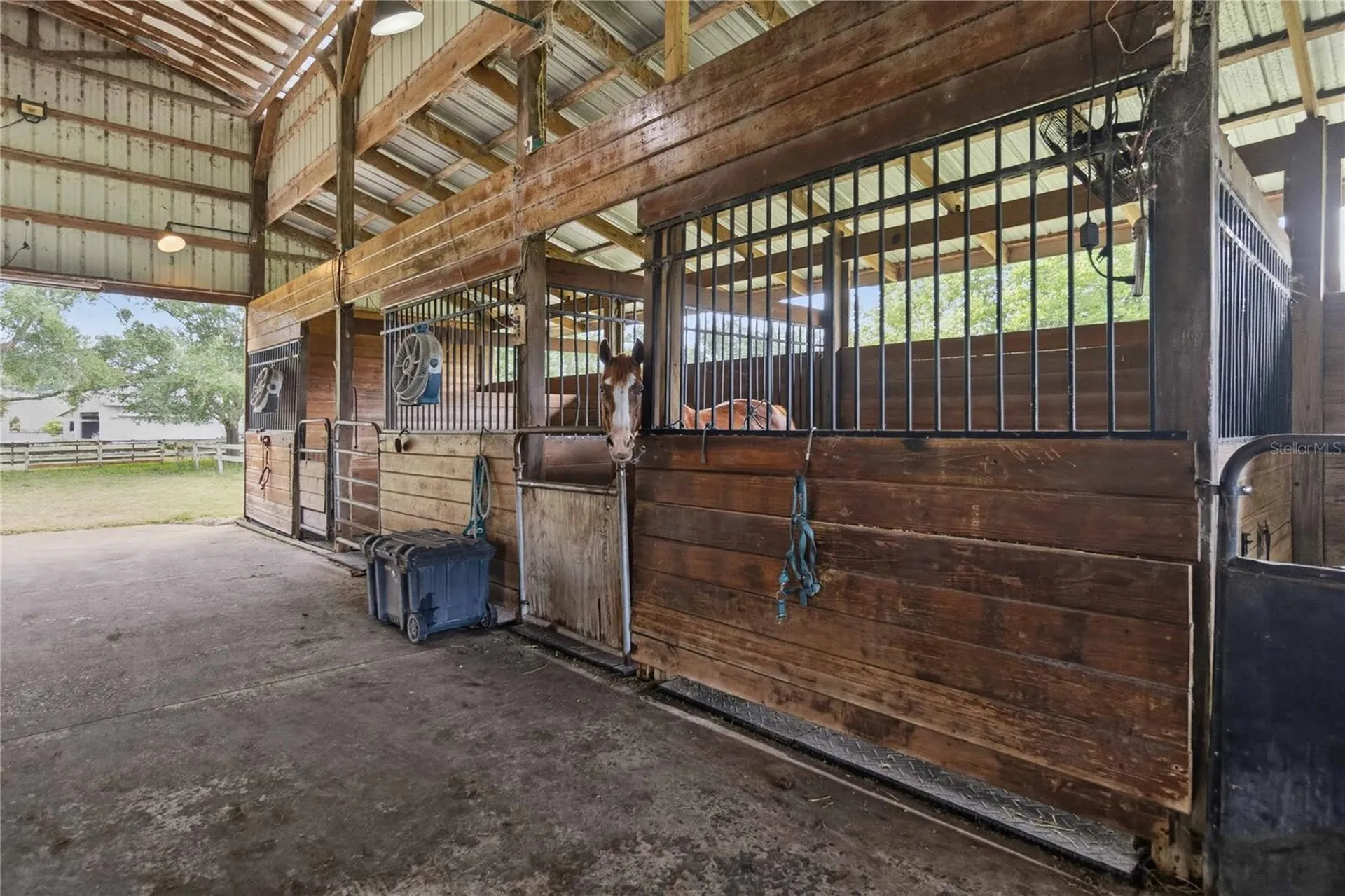 31243 Bear Pond Drive Sorrento FL 32776