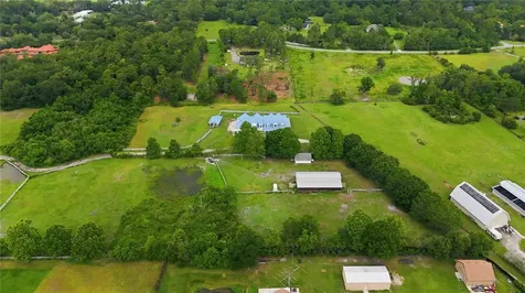 31243 Bear Pond Drive Sorrento FL 32776