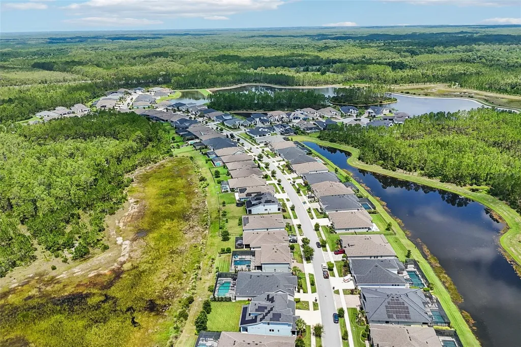 3275 Tour Trace Land O Lakes FL 34638
