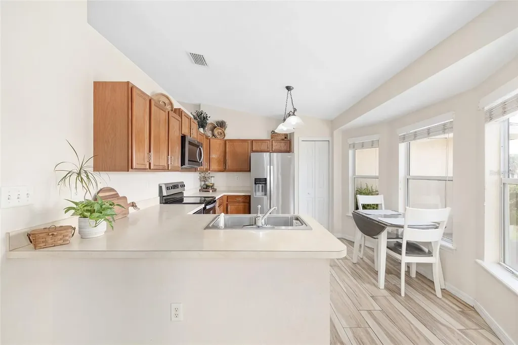 10057 SE 125th Street Belleview FL 34420