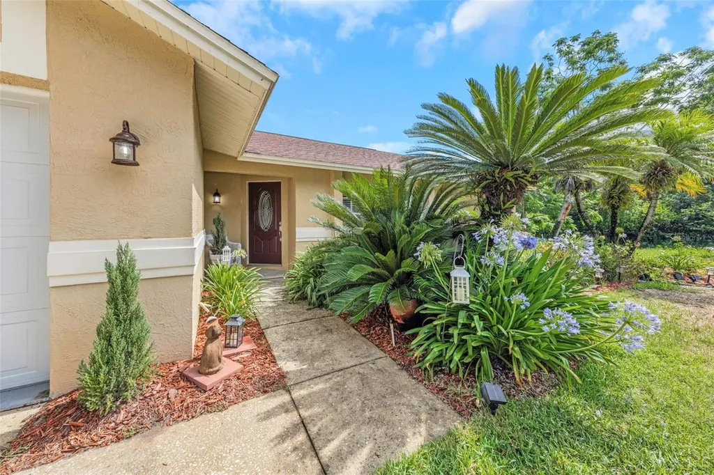 2437 Hawk Avenue Palm Harbor FL 34683