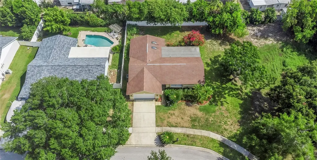 2437 Hawk Avenue Palm Harbor FL 34683