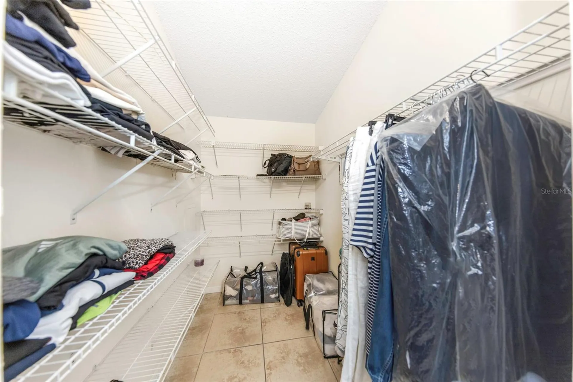 2437 Hawk Avenue Palm Harbor FL 34683