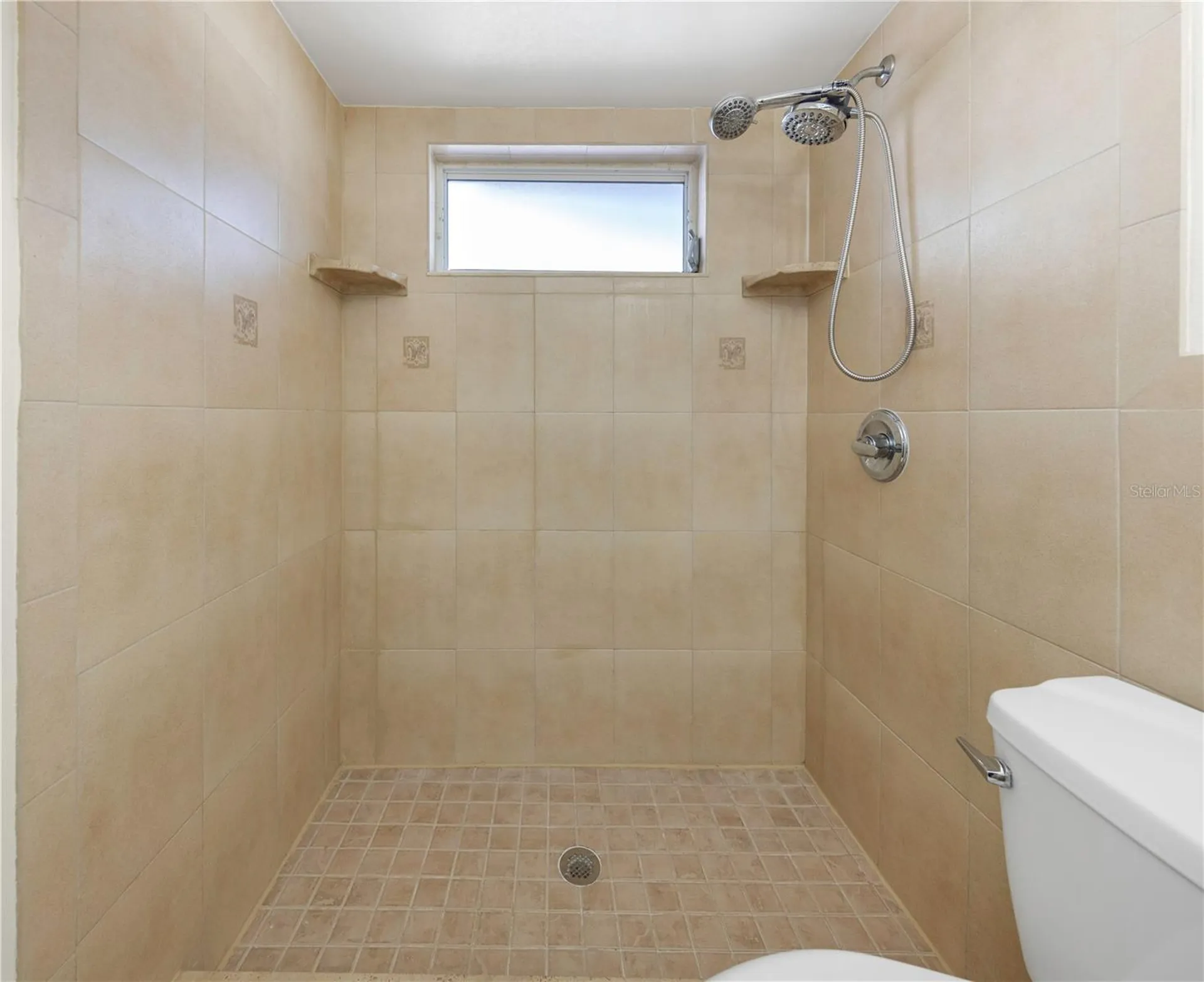 2437 Hawk Avenue Palm Harbor FL 34683
