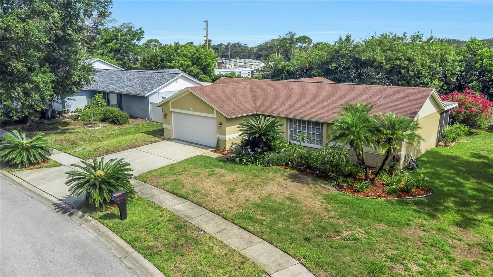 2437 Hawk Avenue Palm Harbor FL 34683