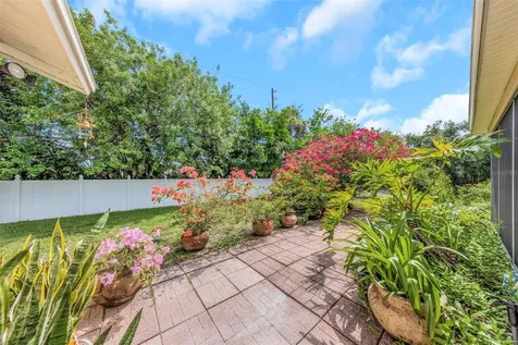 2437 Hawk Avenue Palm Harbor FL 34683