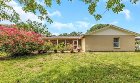 2437 Hawk Avenue Palm Harbor FL 34683