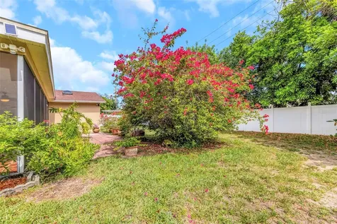 2437 Hawk Avenue Palm Harbor FL 34683