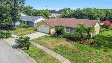 2437 Hawk Avenue Palm Harbor FL 34683
