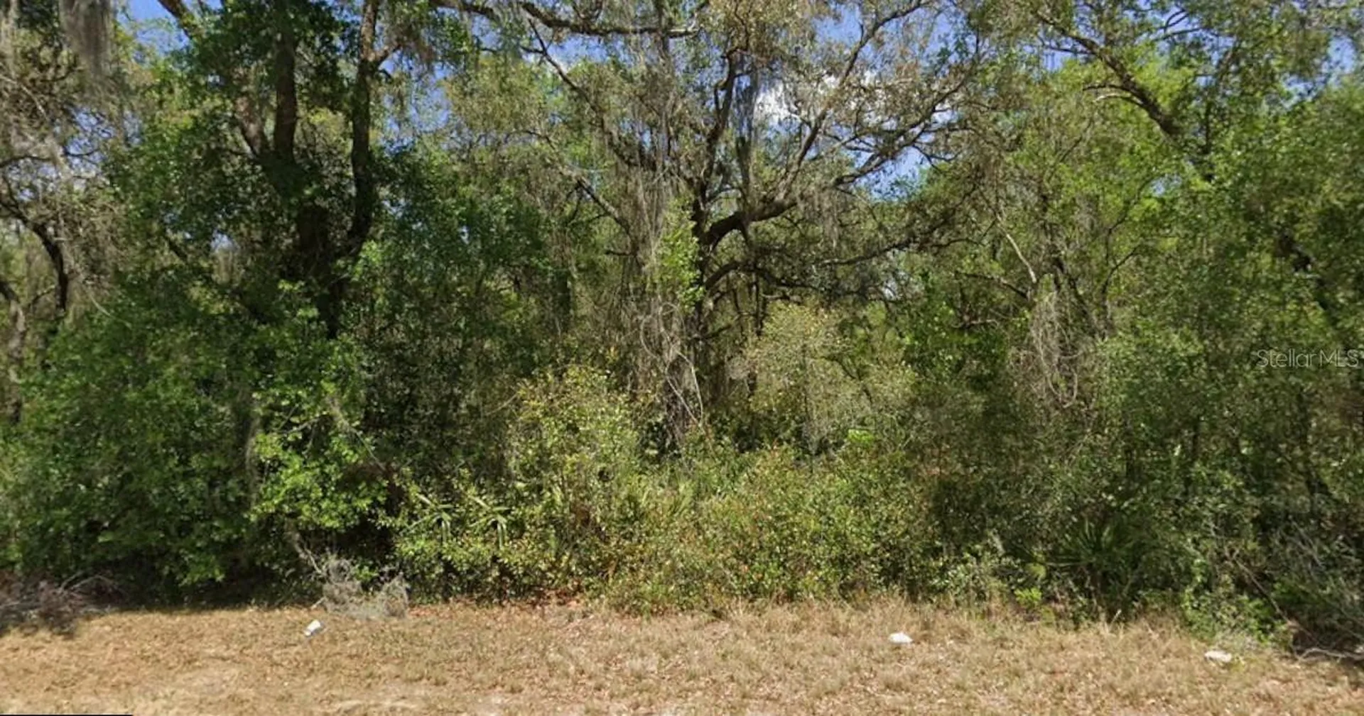 21175 SE 142nd Lane Umatilla FL 32784