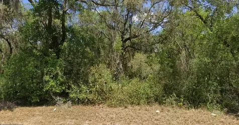 21175 SE 142nd Lane Umatilla FL 32784
