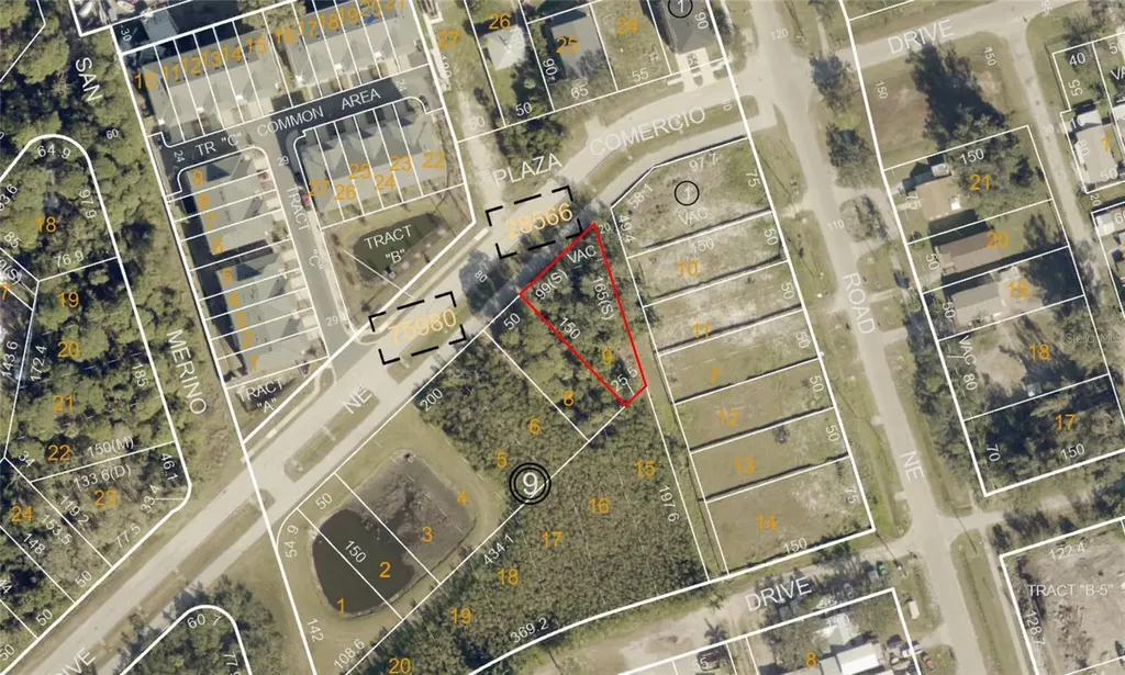 Savona Drive NE St Petersburg FL 33702