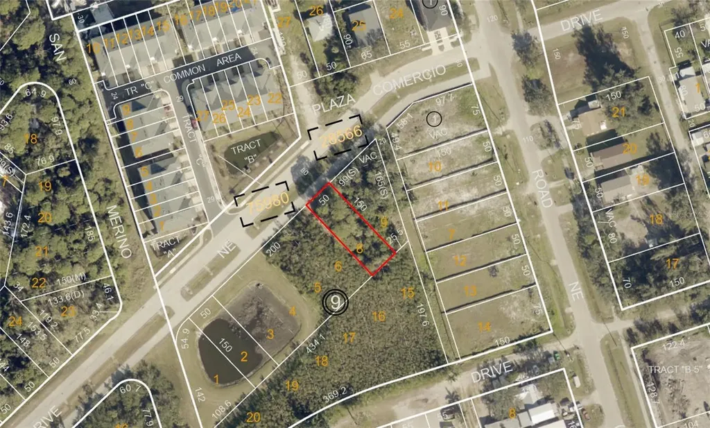 Savona Drive NE St Petersburg FL 33702