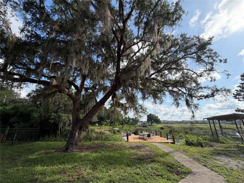 24911 NE 135th Street Fort Mc Coy FL 32134