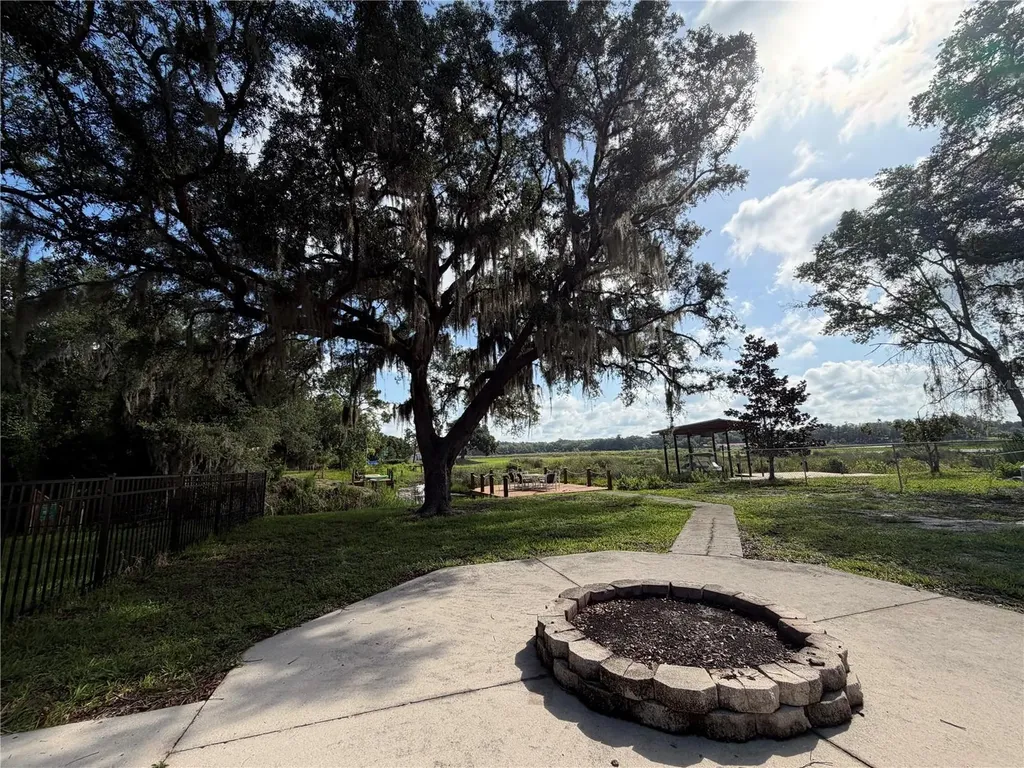 24911 NE 135th Street Fort Mc Coy FL 32134
