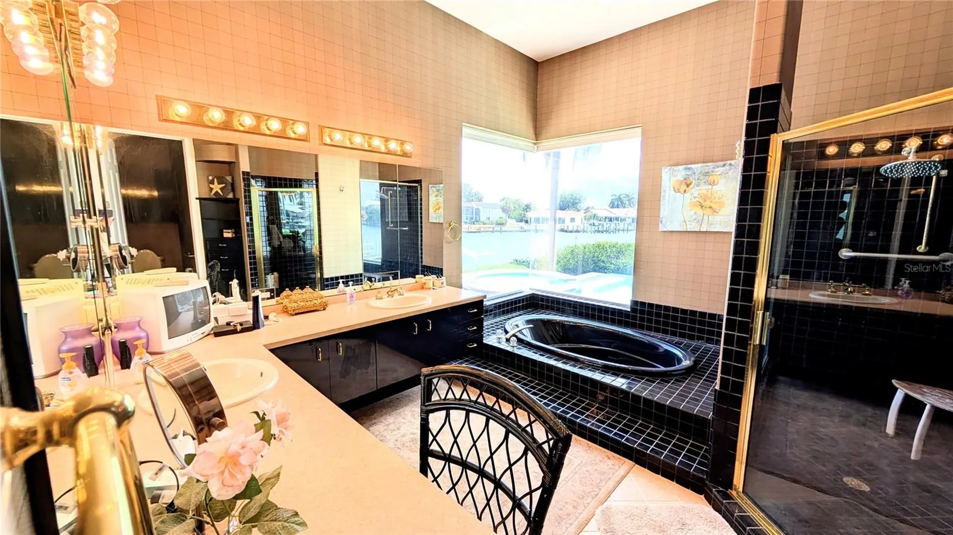 4709 Dolphin Cay Lane St Petersburg FL 33711
