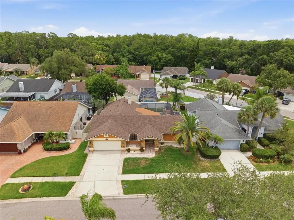 11803 Sweetpea Court Tampa FL 33635