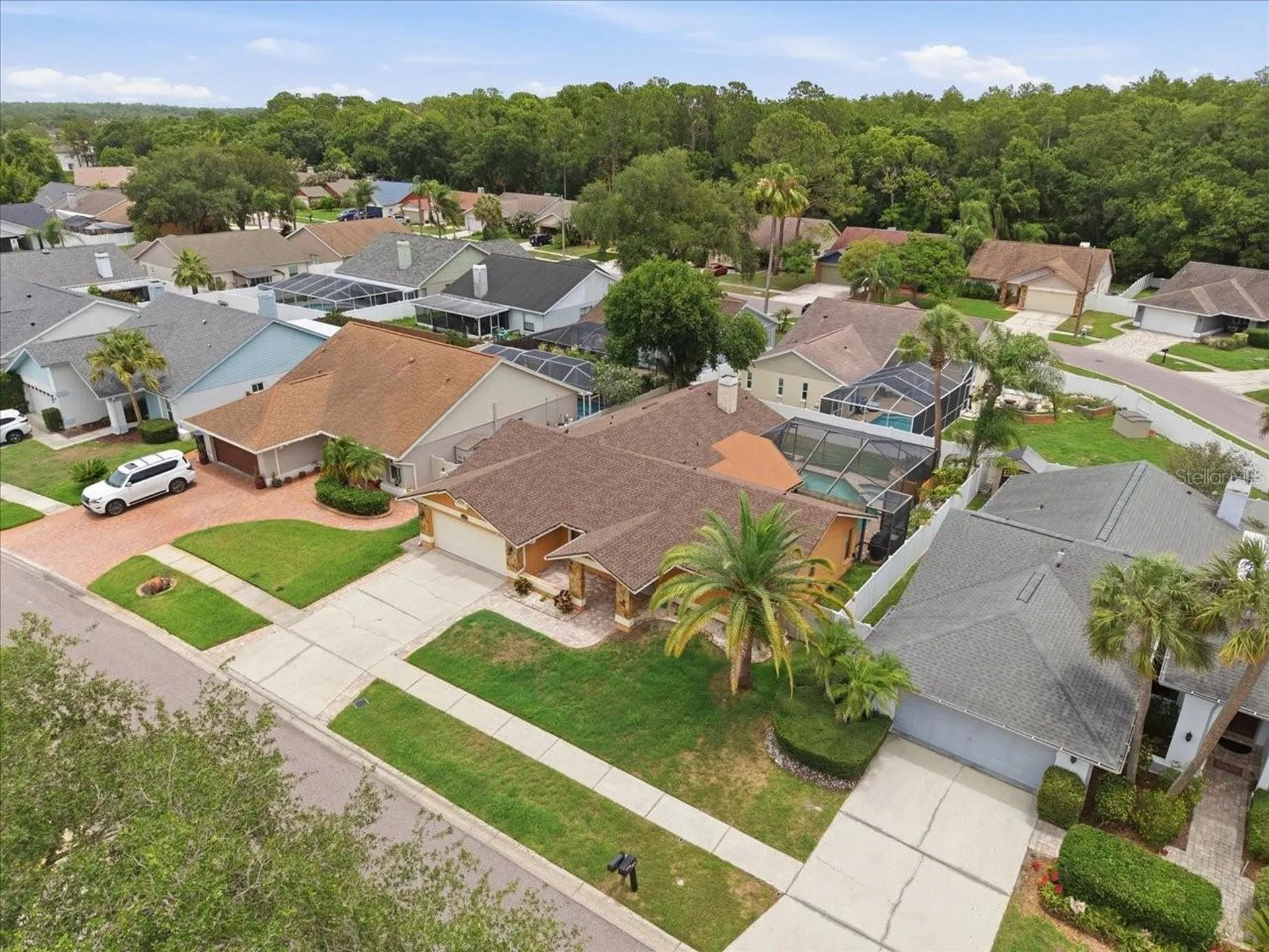 11803 Sweetpea Court Tampa FL 33635