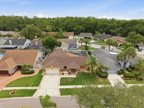 11803 Sweetpea Court Tampa FL 33635