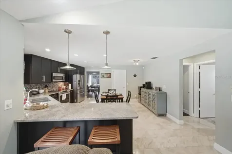 11803 Sweetpea Court Tampa FL 33635