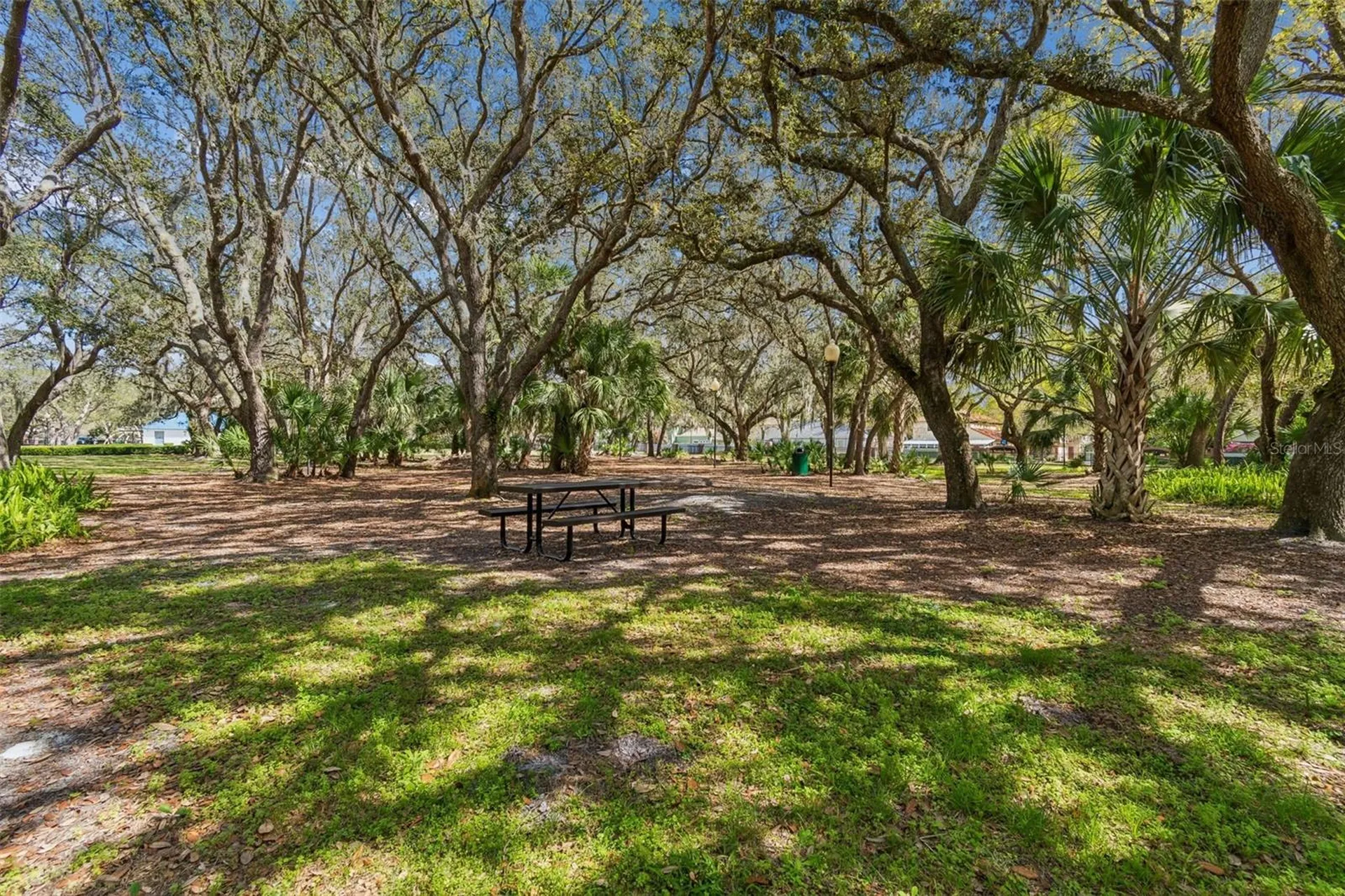 5100 Burchette Road Tampa FL 33647