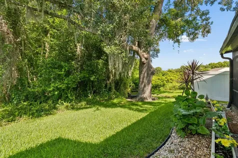 5100 Burchette Road Tampa FL 33647