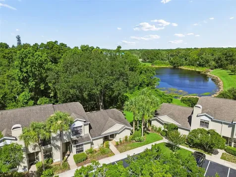 5100 Burchette Road Tampa FL 33647