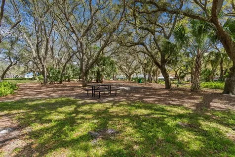 5100 Burchette Road Tampa FL 33647