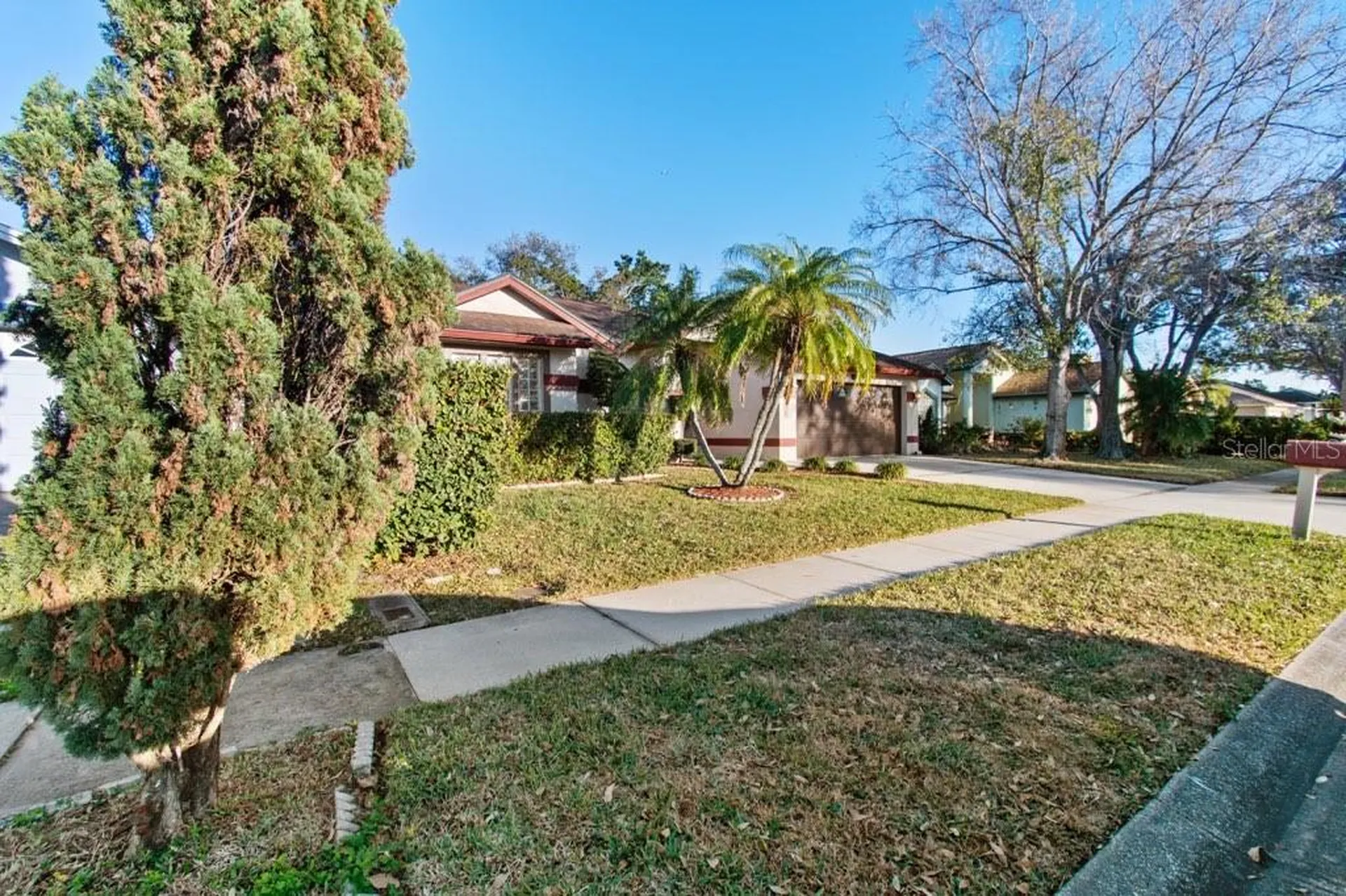10431 36th Street N Clearwater FL 33762