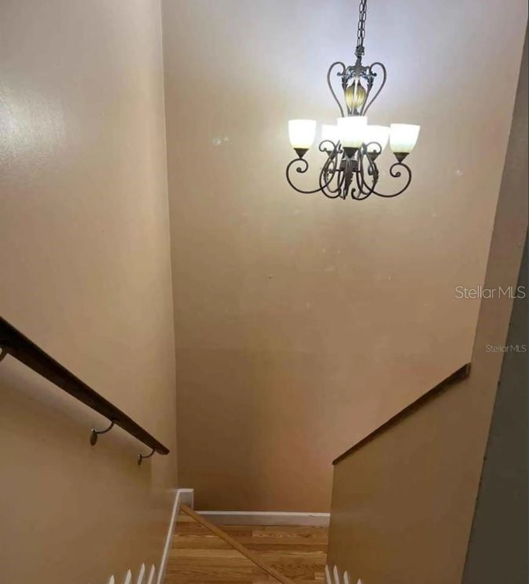 4714 George Road Tampa FL 33634