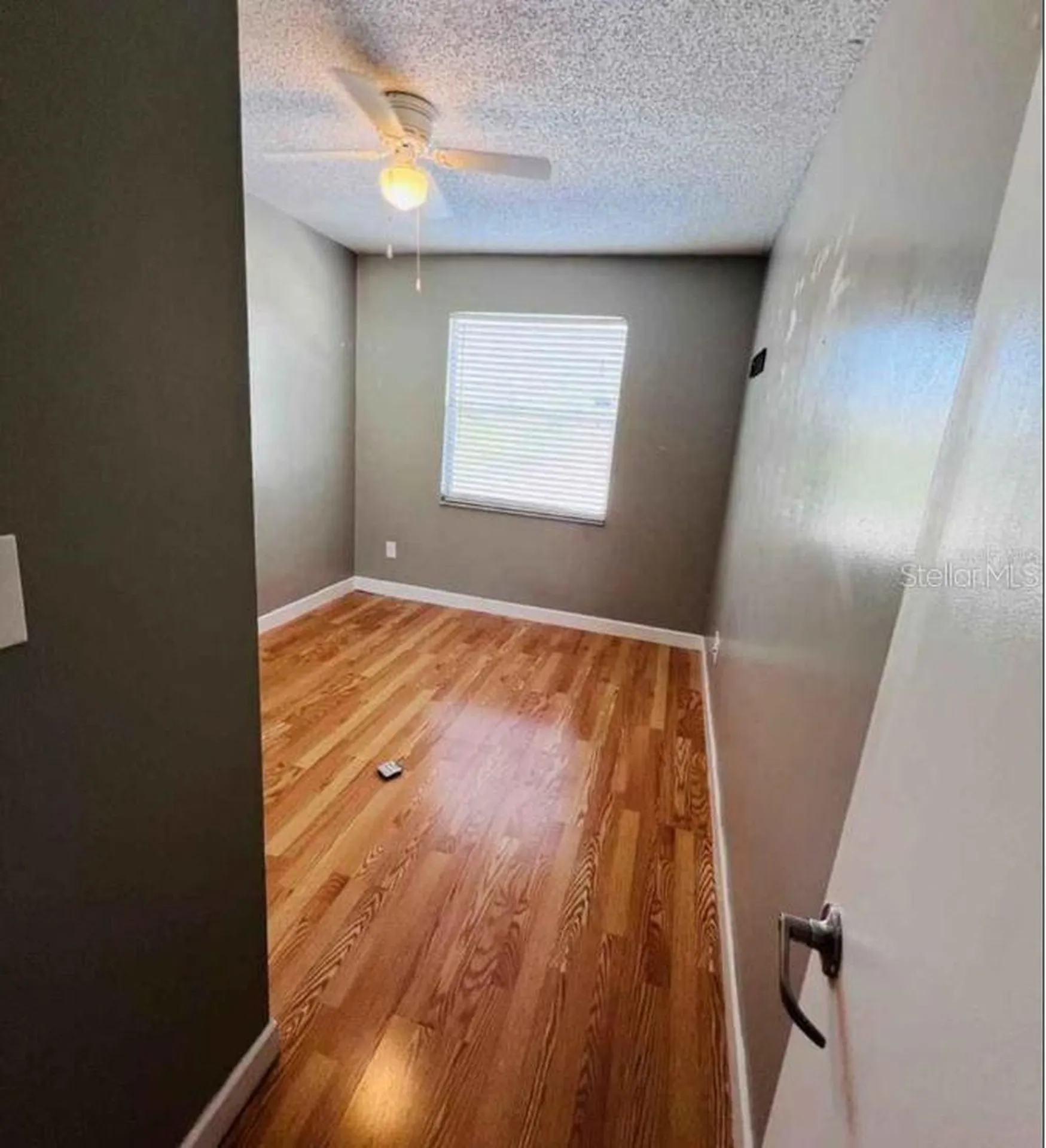 4714 George Road Tampa FL 33634