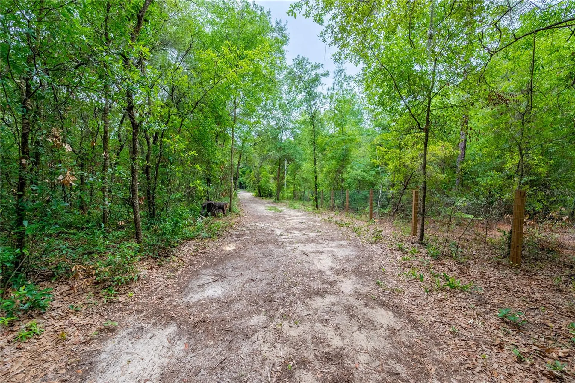 1671 NE 128th Avenue Williston FL 32696