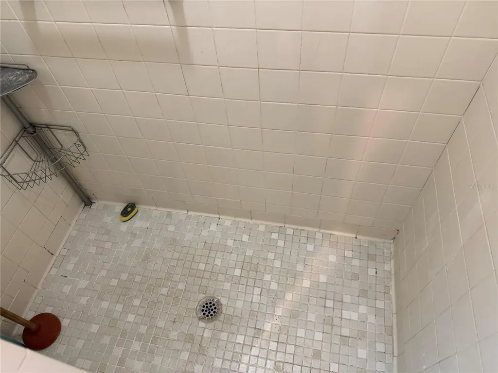 1244 County Road 437 Lake Panasoffkee FL 33538