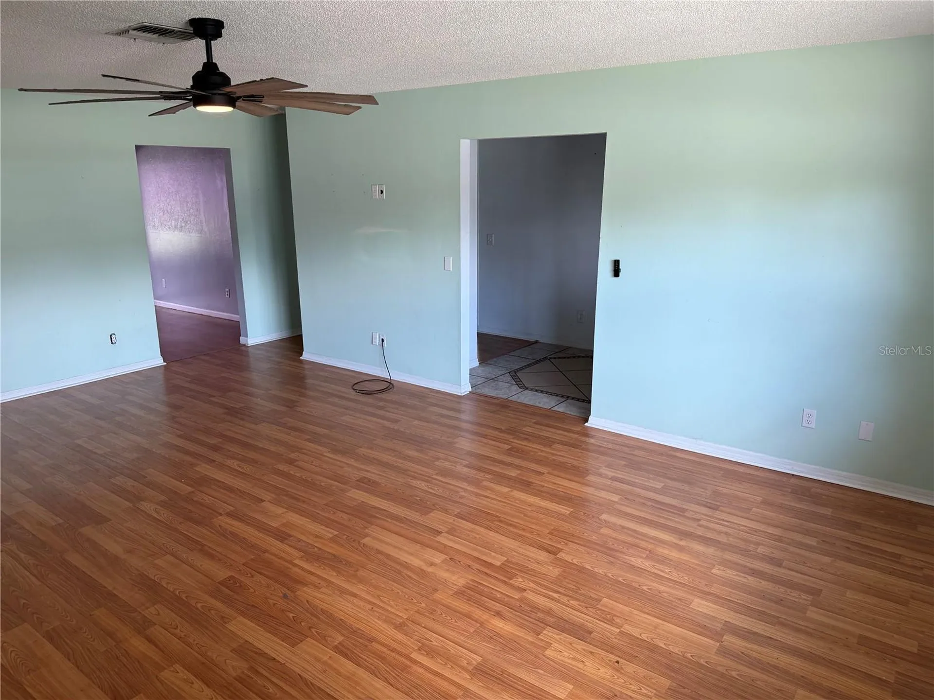 1244 County Road 437 Lake Panasoffkee FL 33538