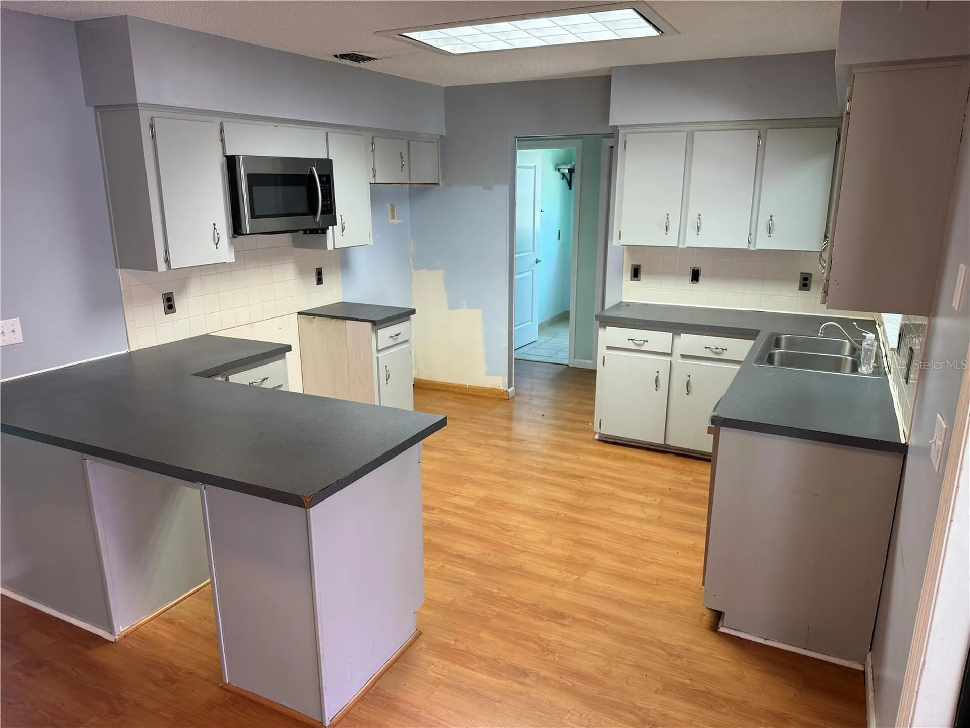 1244 County Road 437 Lake Panasoffkee FL 33538