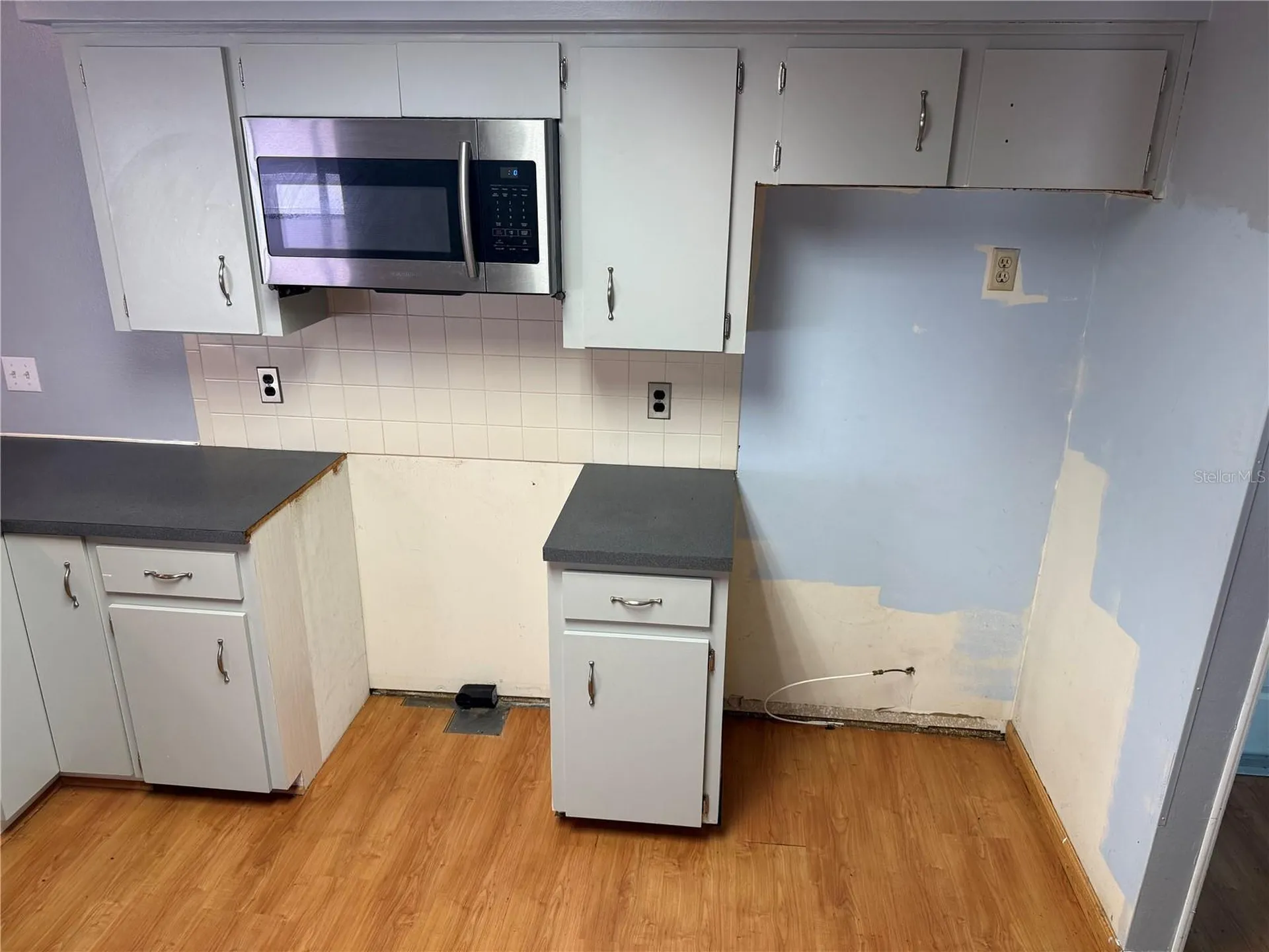 1244 County Road 437 Lake Panasoffkee FL 33538
