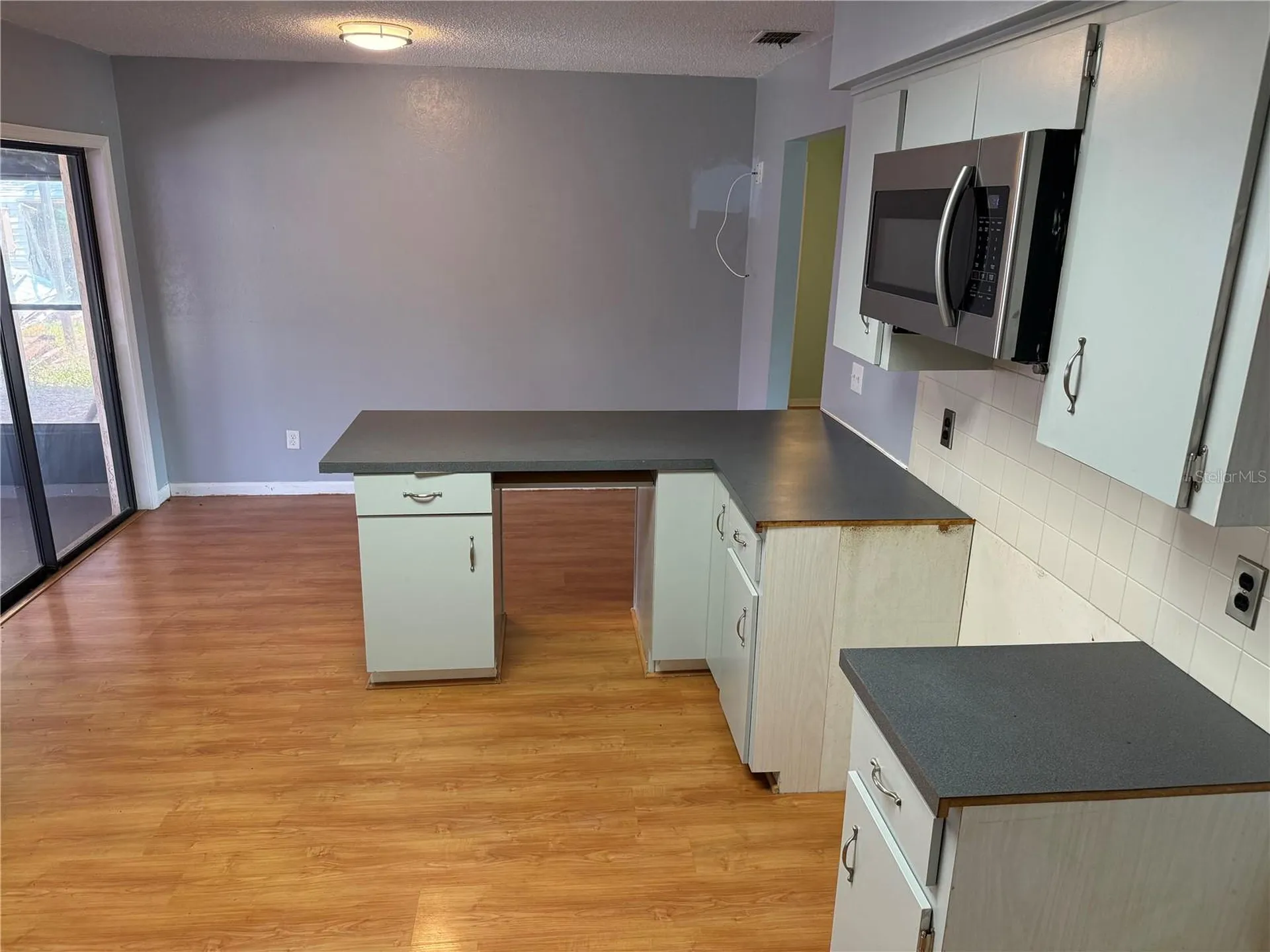1244 County Road 437 Lake Panasoffkee FL 33538