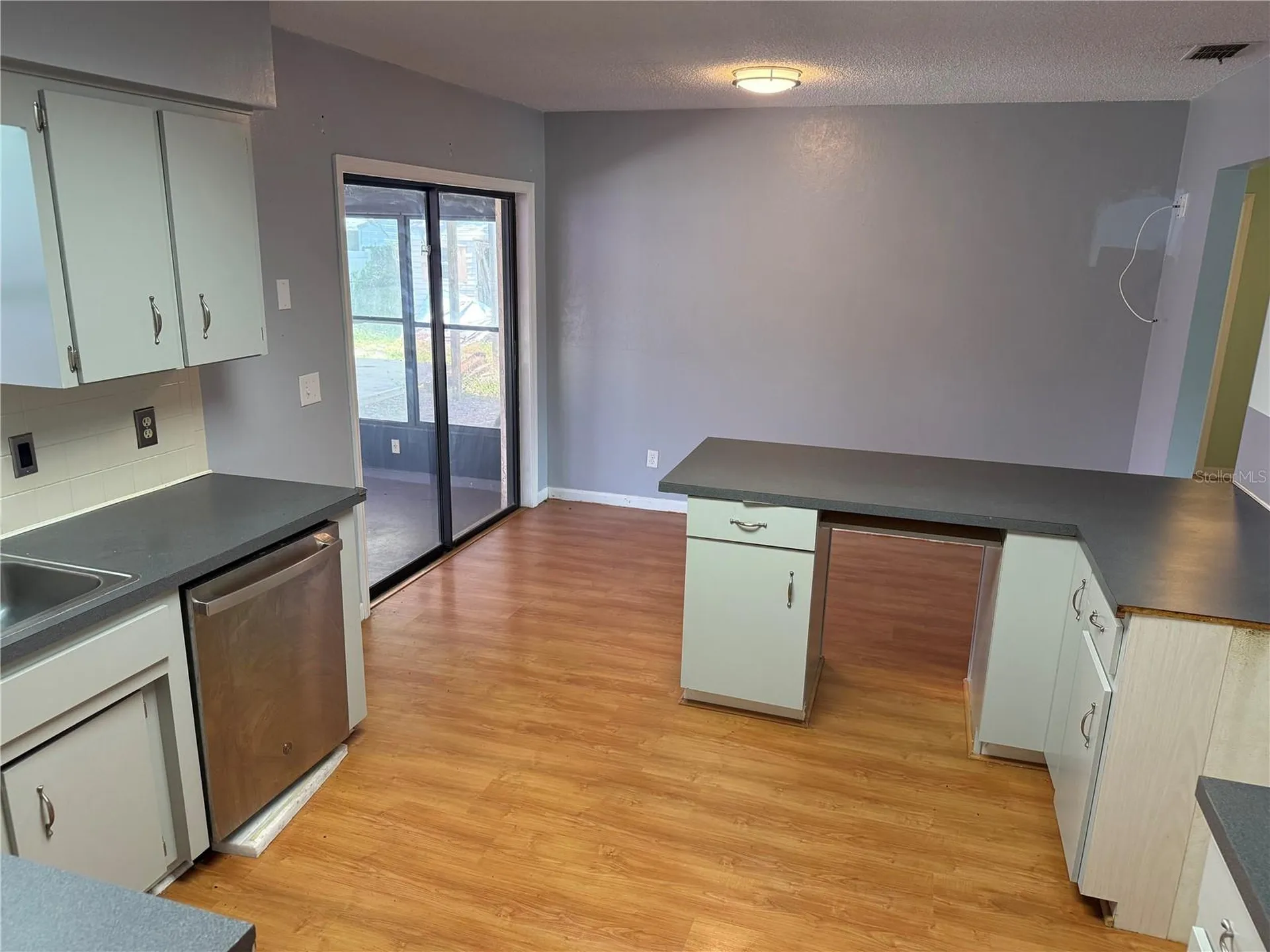 1244 County Road 437 Lake Panasoffkee FL 33538