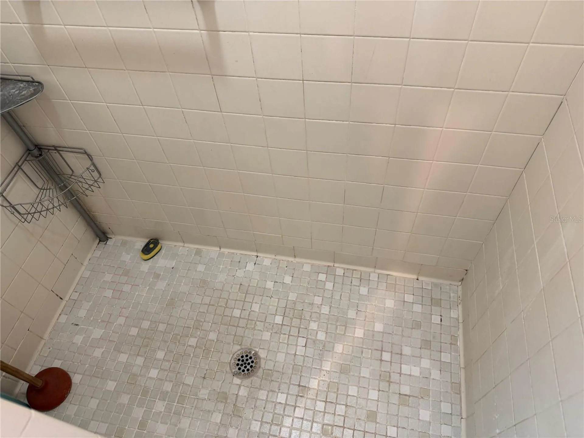 1244 County Road 437 Lake Panasoffkee FL 33538