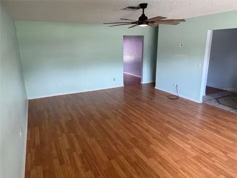 1244 County Road 437 Lake Panasoffkee FL 33538