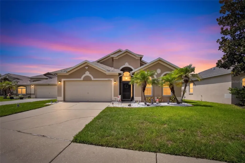 11115 Silver Dancer Drive Riverview FL 33579