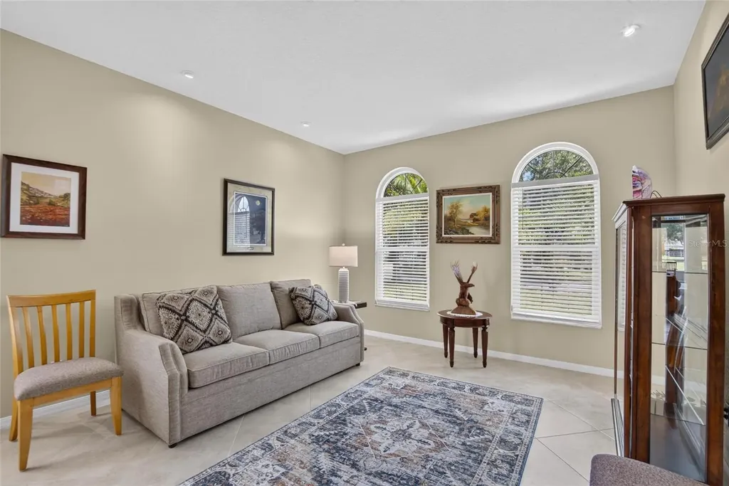 11115 Silver Dancer Drive Riverview FL 33579