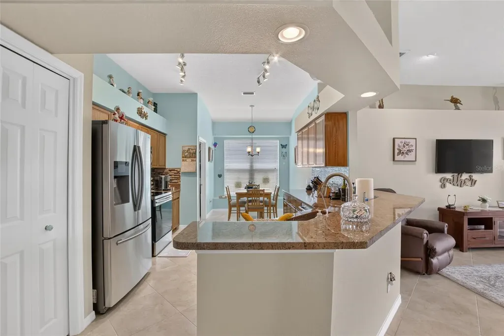 11115 Silver Dancer Drive Riverview FL 33579