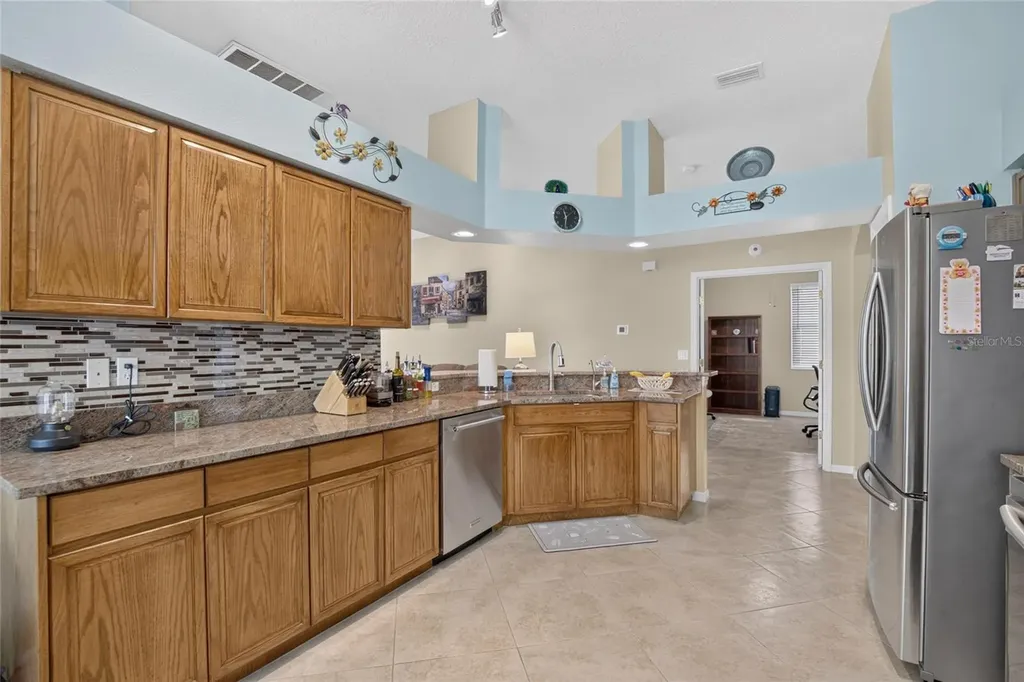 11115 Silver Dancer Drive Riverview FL 33579